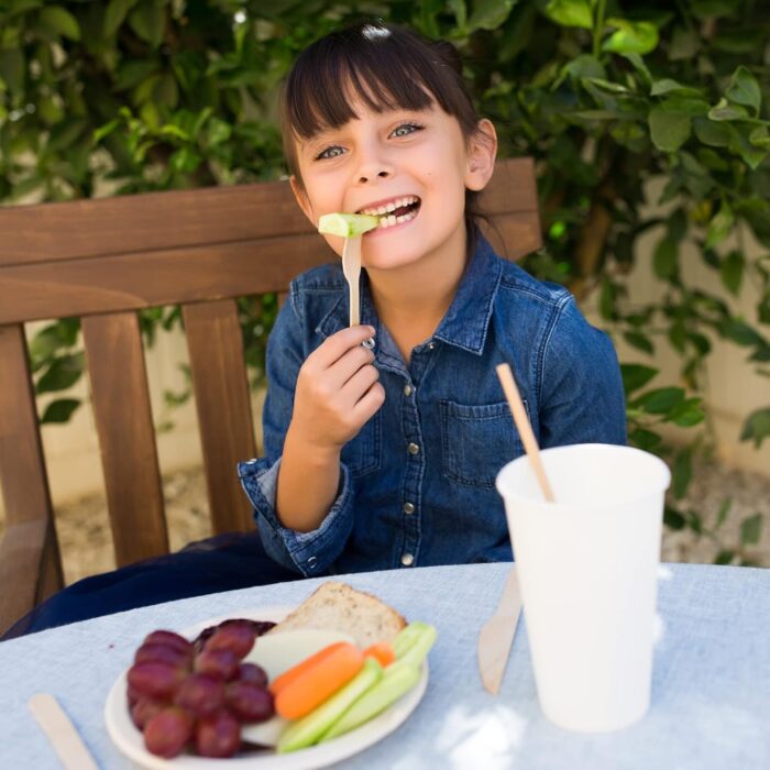 Biodegradable and Eco friendly Disposable Forks - Image 3