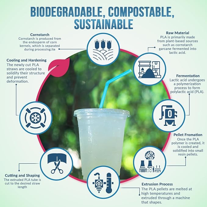 Plant Based Compostable Straws (Pack of 300) - Image 7