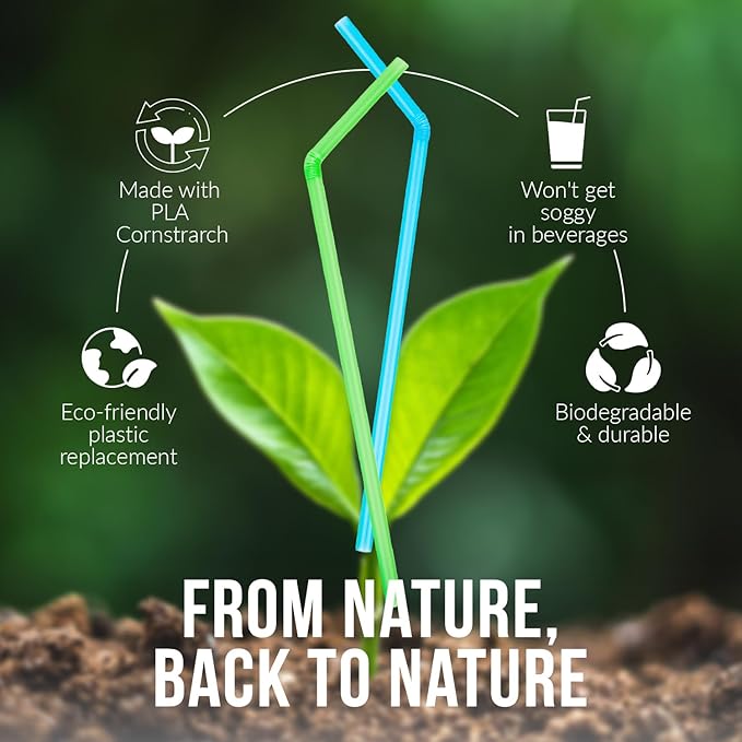 Plant Based Compostable Straws (Pack of 300) - Image 5
